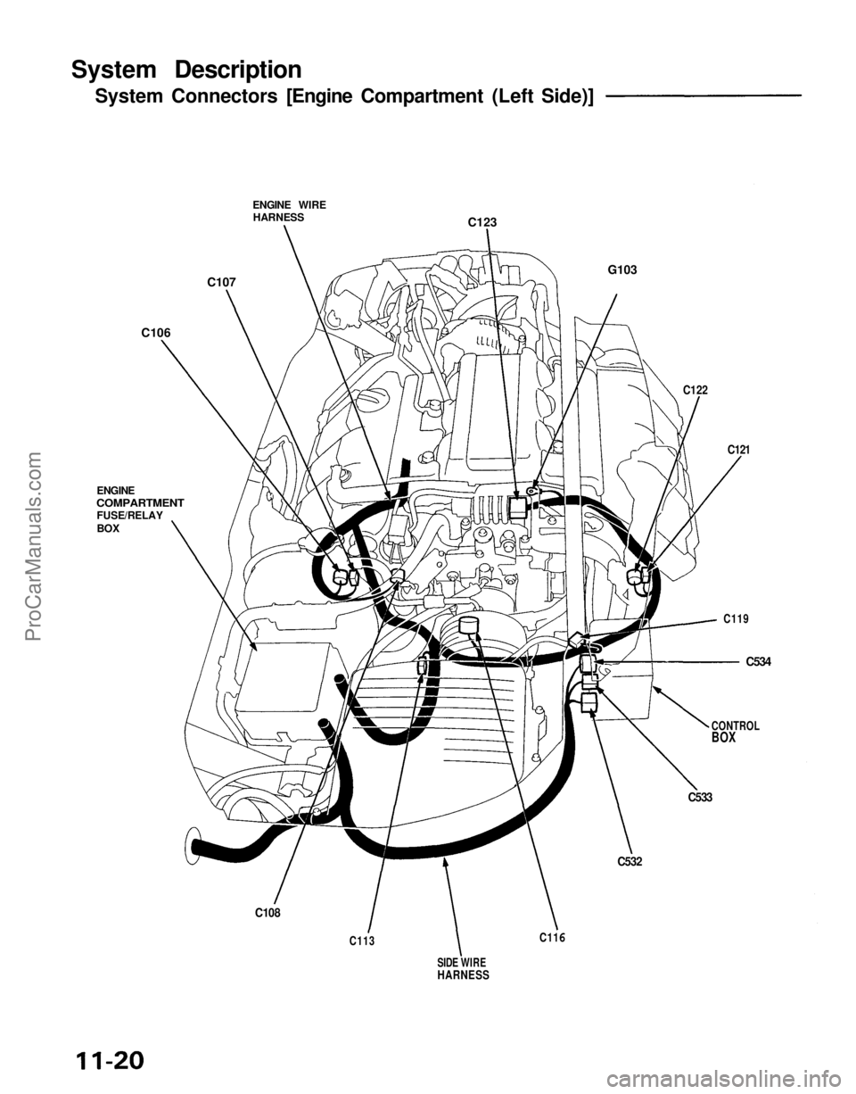 ACURA NSX 1991  Service Repair Manual System Description
System Connectors [Engine Compartment (Left Side)]
ENGINE WIREHARNESS C123
G103
C107
C106
ENGINE

COMPARTMENT
 FUSE/RELAY

BOX

C108
C113
SIDE       WIRE

HARNESS
 C11
6
 C532

C533
