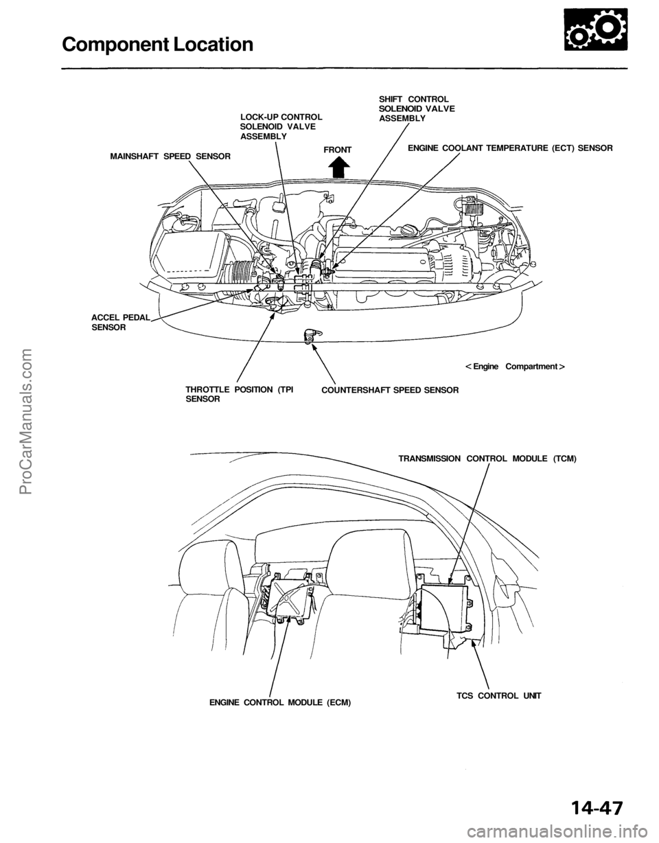 ACURA NSX 1991  Service Repair Manual 
Component Location

LOCK-UP CONTROL

SOLENOID VALVE

ASSEMBLY

MAINSHAFT SPEED SENSOR 
FRONT 
SHIFT CONTROL

SOLENOID VALVE

ASSEMBLY

ENGINE COOLANT TEMPERATURE (ECT) SENSOR

Engine Compartment

COU