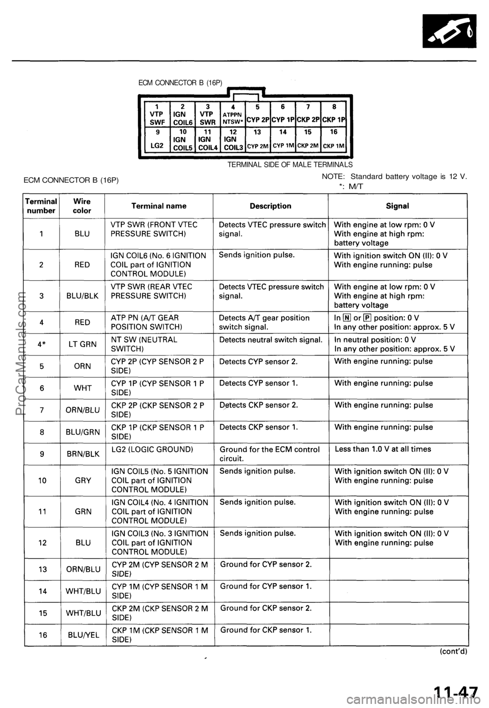 ACURA NSX 1991  Service Repair Manual 
ECM CONNECTOR B (16P)

ECM CONNECTOR B (16P) 
TERMINAL SIDE OF MALE TERMINALS

NOTE: Standard battery voltage is 12 V.

*: M/TProCarManuals.com 