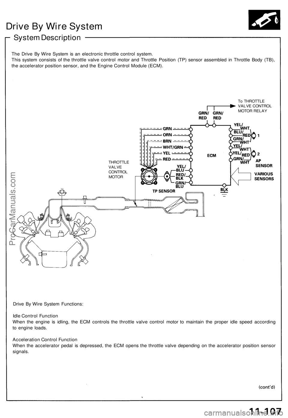 ACURA NSX 1991  Service Repair Manual 
Drive By Wire System

System Description

The Drive By Wire System is an electronic throttle control system.

This system consists of the throttle valve control motor and Throttle Position (TP) senso