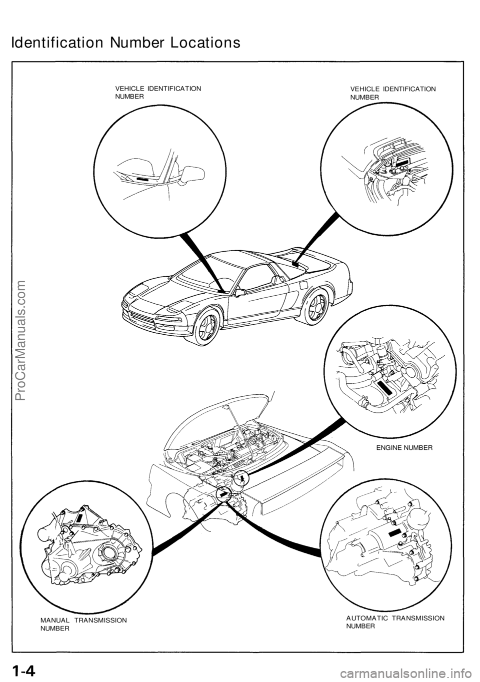 ACURA NSX 1991  Service Repair Manual Identification Numbe r Location s
VEHICLE IDENTIFICATIO N
NUMBE R
MANUA L TRANSMISSIO N
NUMBE R VEHICL
E IDENTIFICATIO N
NUMBE R
AUTOMATI C TRANSMISSIO N
NUMBER
ENGINE NUMBE R
ProCarManuals.com 