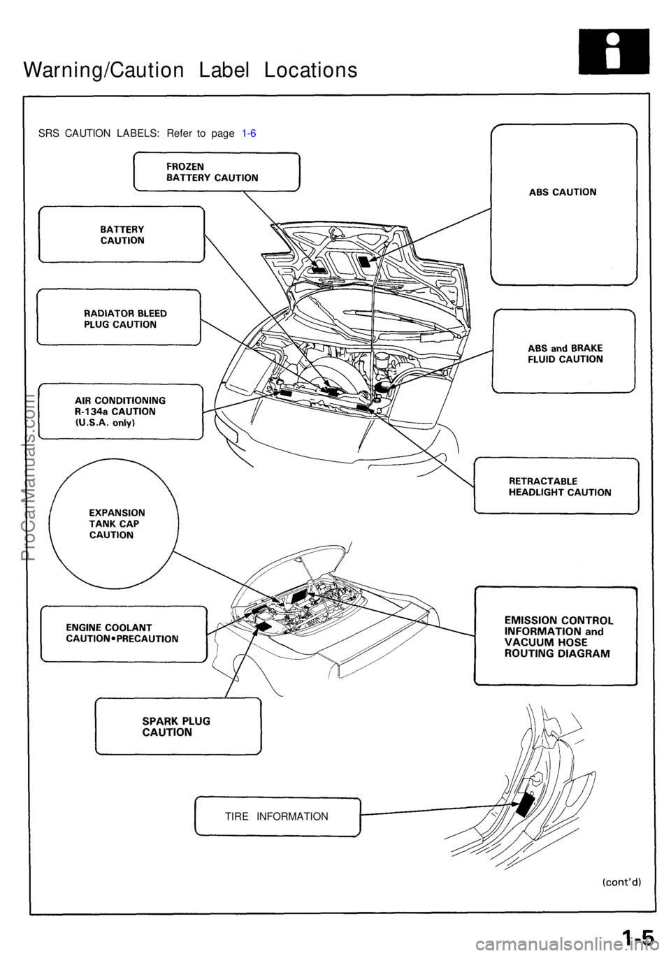ACURA NSX 1991  Service Repair Manual Warning/Caution Labe l Location s
SRS CAUTIO N LABELS : Refe r t o pag e  1- 6
TIR E INFORMATIO N
ProCarManuals.com 