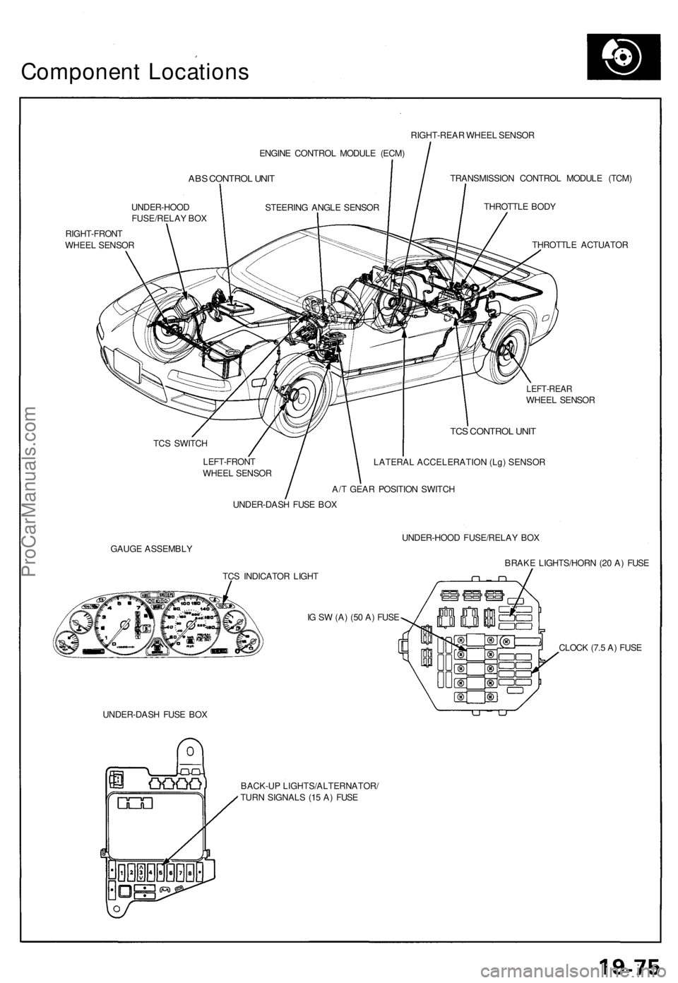 ACURA NSX 1991  Service Repair Manual Component Location s
ENGINE CONTRO L MODUL E (ECM )
ABS CONTRO L UNI T
UNDER-HOO D
FUSE/RELA Y BO X
RIGHT-FRON T
WHEE L SENSO R RIGHT-REA
R WHEE L SENSO R
TRANSMISSIO N CONTRO L MODUL E (TCM )
THROTTL