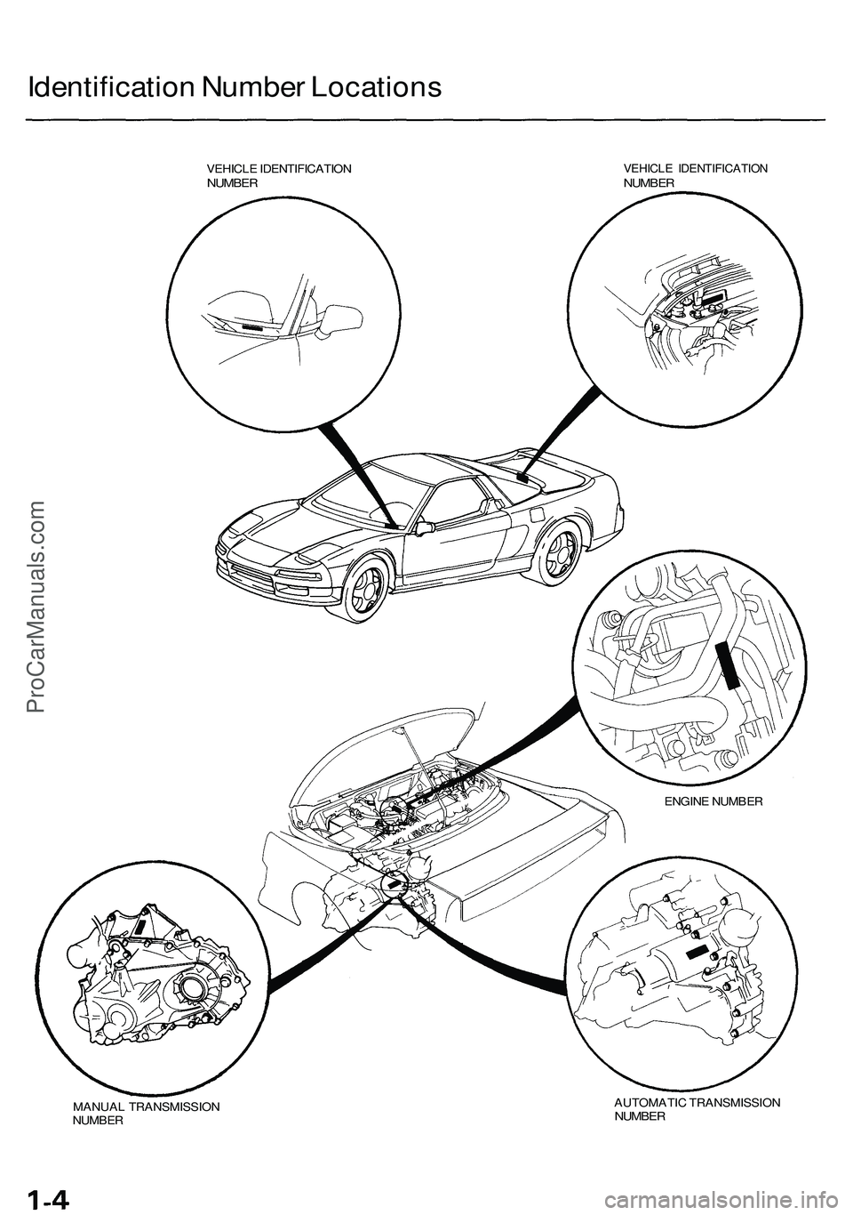 ACURA NSX 1997  Service Repair Manual Identification Numbe r Location s
VEHICLE IDENTIFICATIO NNUMBERVEHICL E IDENTIFICATIO NNUMBER
ENGINE NUMBE R
MANUA L TRANSMISSIO N
NUMBE R AUTOMATI
C TRANSMISSIO N
NUMBER
ProCarManuals.com 