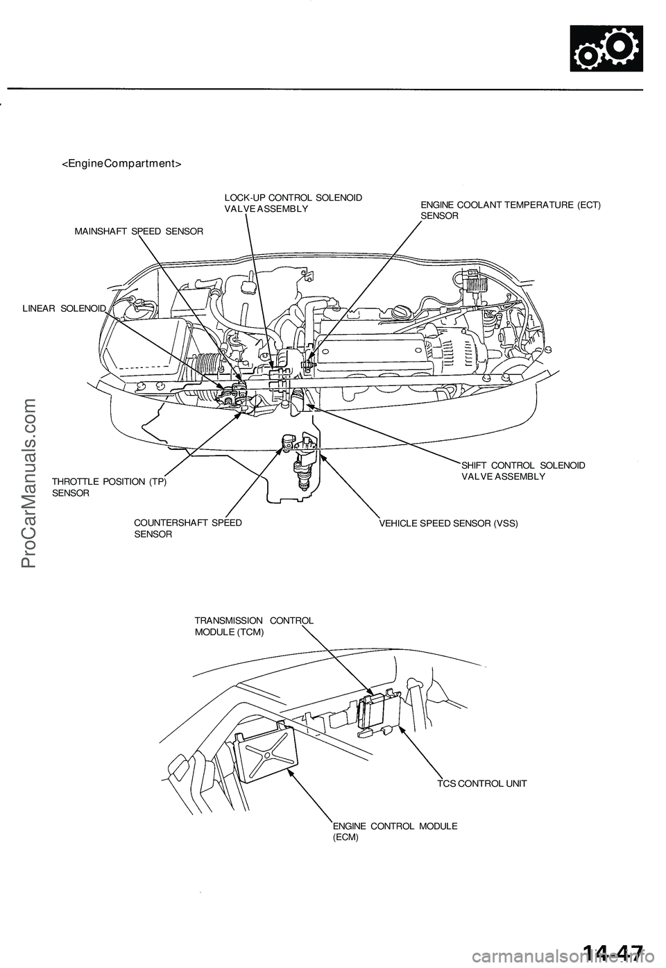 ACURA NSX 1997  Service Repair Manual 
<Engine Compartment>

LOCK-UP CONTROL SOLENOID

VALVE ASSEMBLY

MAINSHAFT SPEED SENSOR

LINEAR SOLENOID 
ENGINE COOLANT TEMPERATURE (ECT)

SENSOR

THROTTLE POSITION (TP)

SENSOR

COUNTERSHAFT SPEED

