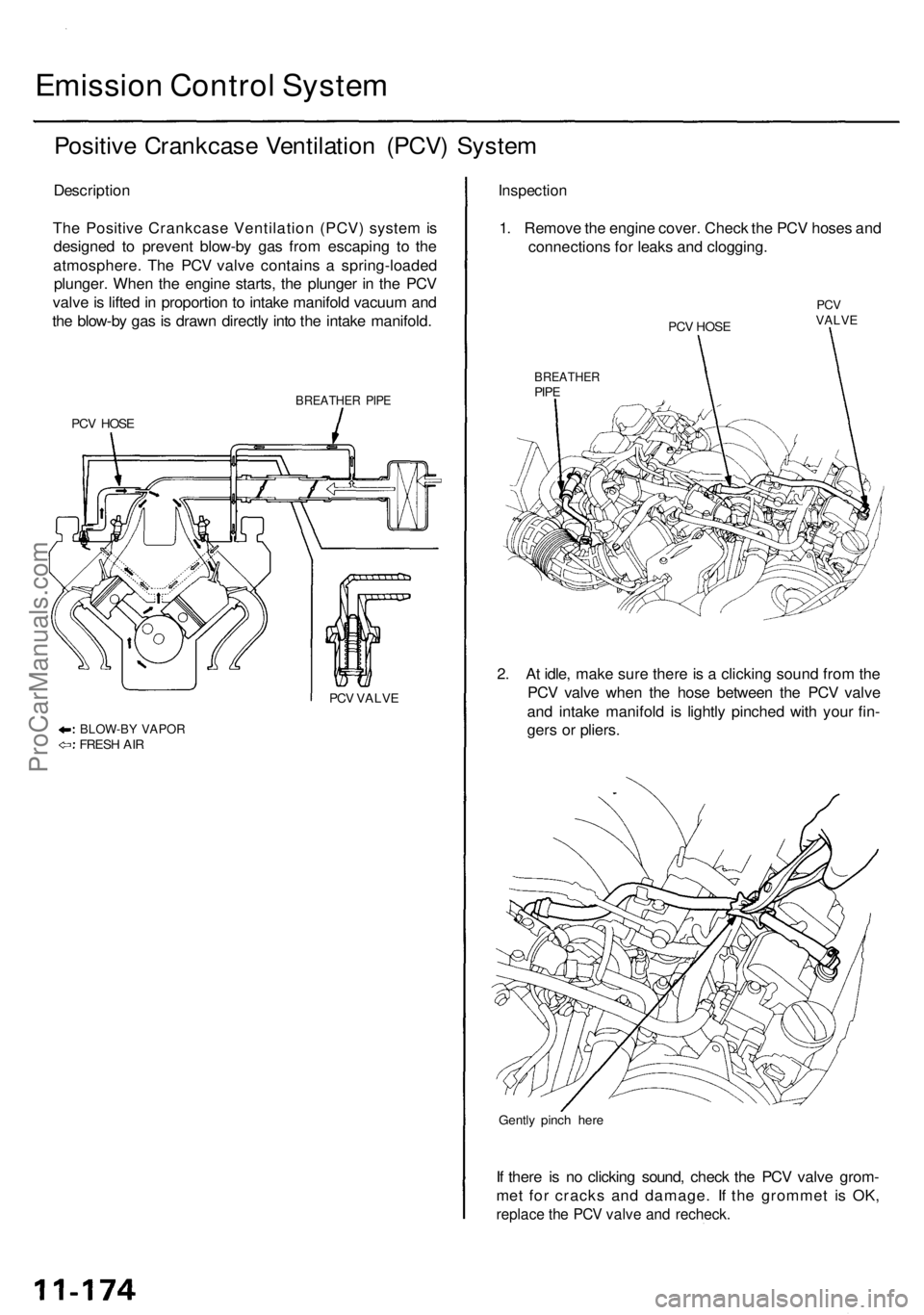 ACURA RL KA9 1996 Service Repair Manual Emission Contro l Syste m
Positiv e Crankcas e Ventilatio n (PCV ) Syste m
Descriptio n
Th e Positiv e Crankcas e Ventilatio n (PCV ) syste m is
designe d t o preven t blow-b y ga s fro m escapin g t ACURA RL KA9 1996 Service Repair Manual Emission Contro l Syste m
Positiv e Crankcas e Ventilatio n (PCV ) Syste m
Descriptio n
Th e Positiv e Crankcas e Ventilatio n (PCV ) syste m is
designe d t o preven t blow-b y ga s fro m escapin g t