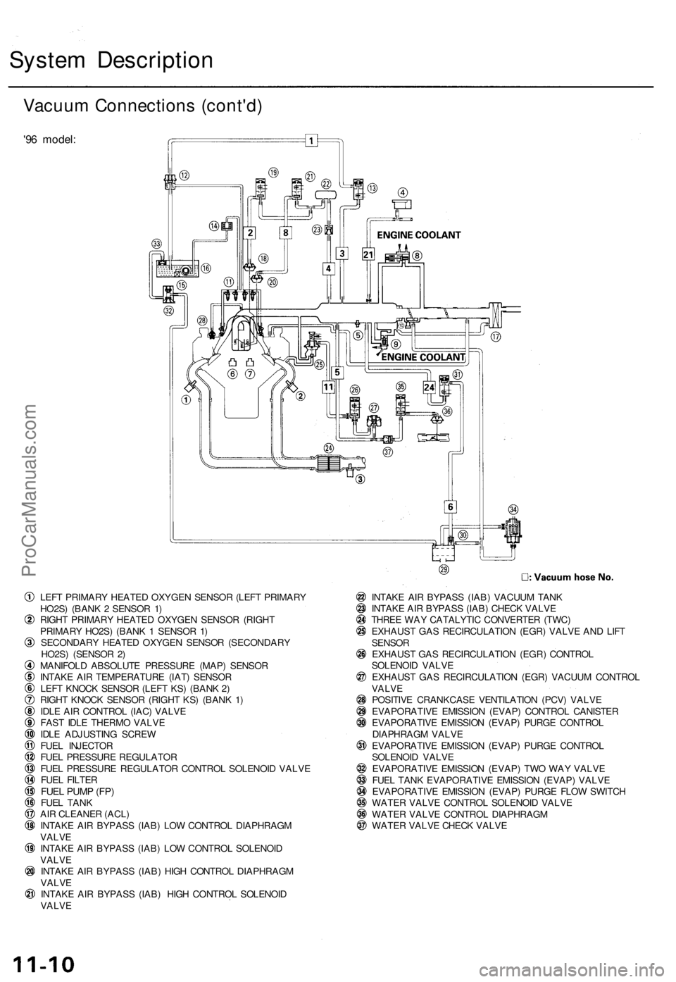 ACURA TL 1995 Service Repair Manual
System Description
Vacuum Connections (cont'd)
'96 model:
LEFT PRIMARY HEATED OXYGEN SENSOR (LEFT PRIMARY
HO2S) (BANK 2 SENSOR 1)
RIGHT PRIMARY HEATED OXYGEN SENSOR (RIGHT
PRIMARY HO2S) ACURA TL 1995 Service Repair Manual
System Description
Vacuum Connections (cont'd)
'96 model:
LEFT PRIMARY HEATED OXYGEN SENSOR (LEFT PRIMARY
HO2S) (BANK 2 SENSOR 1)
RIGHT PRIMARY HEATED OXYGEN SENSOR (RIGHT
PRIMARY HO2S)