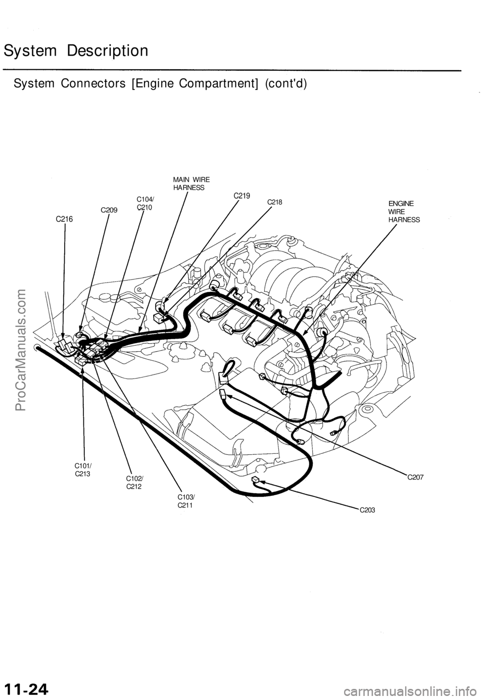 ACURA TL 1995  Service Repair Manual System Descriptio n
System Connector s [Engin e Compartment ] (cont'd )
MAIN WIR E
HARNES S
C104/
C21 0C21 9C218C20 9
C21 6
ENGIN EWIRE
HARNES S
C101/
C21 3
C102/
C21 2
C20 7
C103 /
C21 1
C20 3
Pr