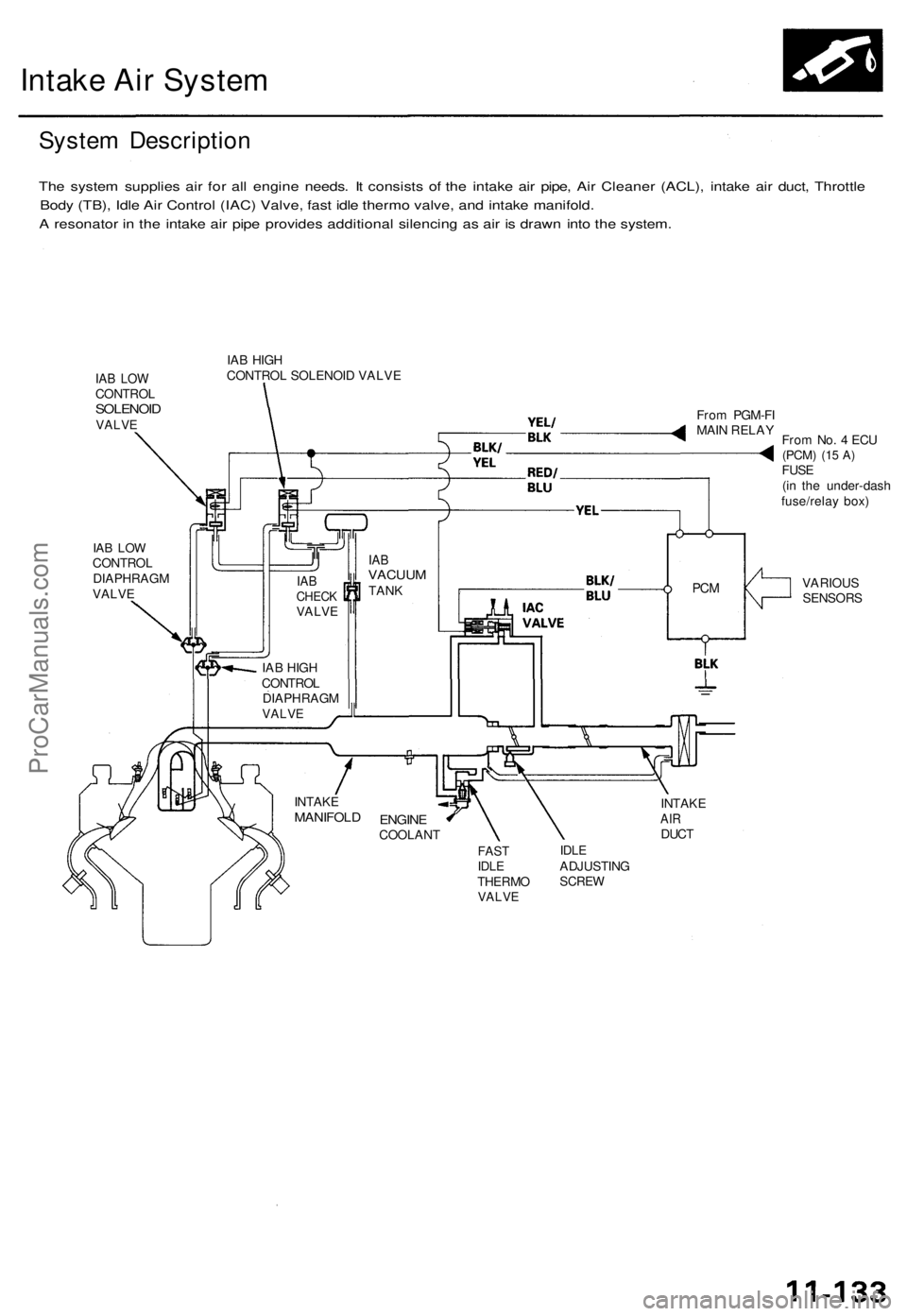 ACURA TL 1995  Service Repair Manual 
Intake Air System

System Description

The system supplies air for all engine needs. It consists of the intake air pipe, Air Cleaner (ACL), intake air duct, Throttle

Body (TB), Idle Air Control (IAC