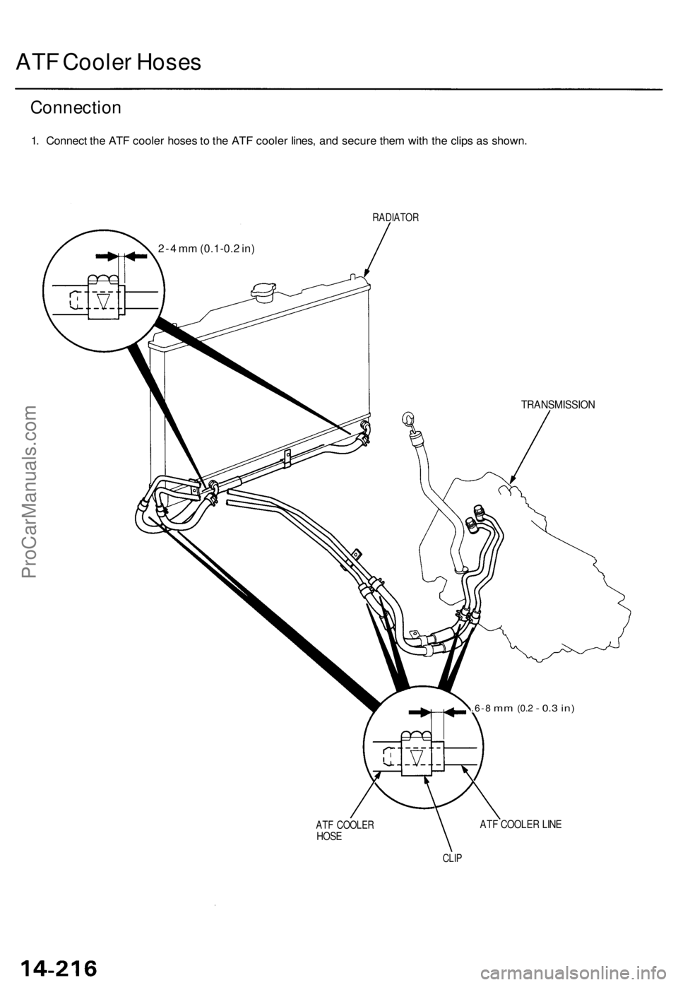 ACURA TL 1995  Service Repair Manual ATF Coole r Hose s
Connectio n
1. Connec t th e AT F coole r hose s t o  th e AT F coole r lines , an d secur e the m wit h th e clip s a s shown .
2-4 m m (0.1-0. 2 in )
RADIATO R
TRANSMISSIO N
.6-8 