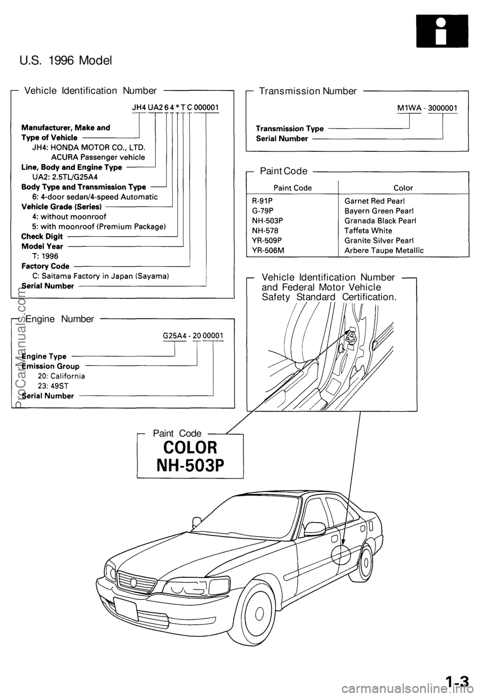 ACURA TL 1995  Service Repair Manual 
U.S. 1996 Model

Vehicle Identification Number

Transmission Number

Vehicle Identification Number

and Federal Motor Vehicle

Safety Standard Certification.

Engine Number

Paint Code 
Paint CodePro