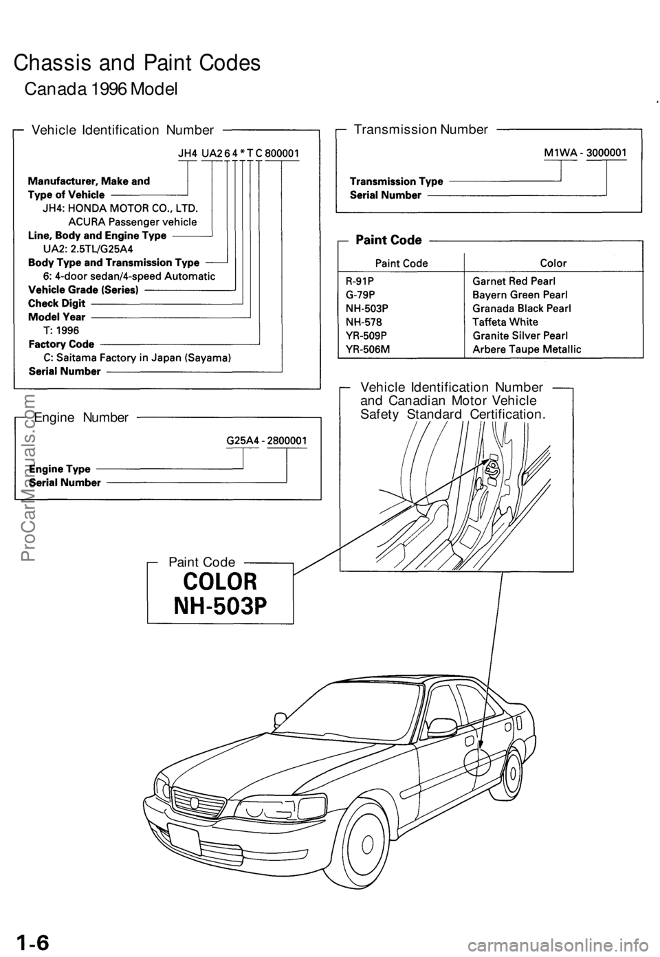 ACURA TL 1995  Service Repair Manual 
Chassis and Paint Codes

Canada 1996 Model

Vehicle Identification Number 
Transmission Number

Engine Number 
Vehicle Identification Number

and Canadian Motor Vehicle

Safety Standard Certification