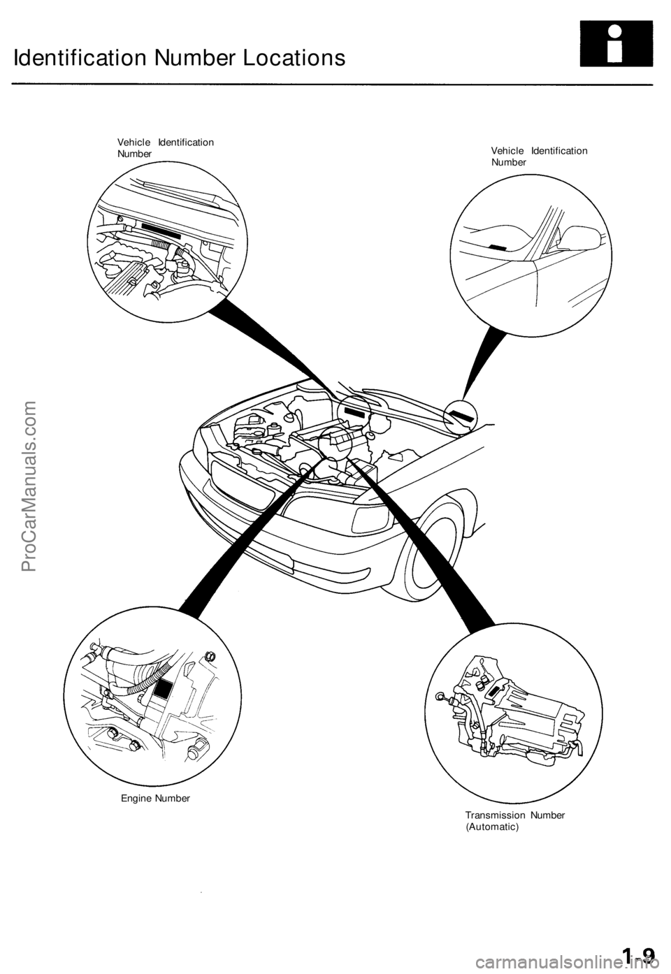 ACURA TL 1995  Service Repair Manual 
Identification Number Locations

Vehicle Identification

Number 
Vehicle Identification

Number

Engine Number

Transmission Number

(Automatic)ProCarManuals.com 