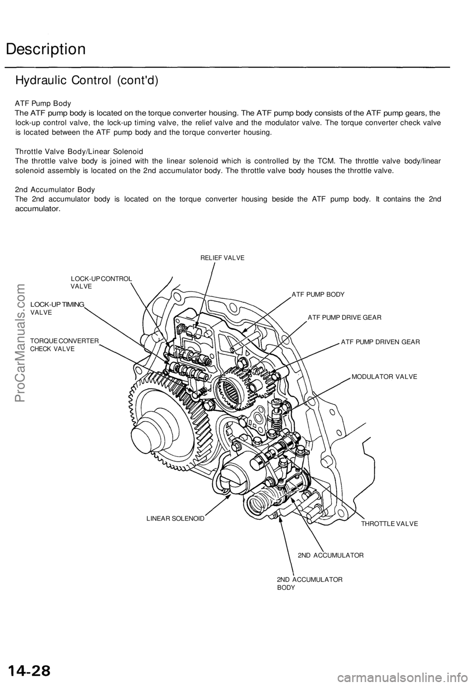 ACURA TL 1995 Service Repair Manual
Description
Hydraulic Control (cont'd)
ATF Pump Body
The ATF pump body is located on the torque converter housing. The ATF pump body consists of the ATF pump gears, the
lock-up control valve, ACURA TL 1995 Service Repair Manual
Description
Hydraulic Control (cont'd)
ATF Pump Body
The ATF pump body is located on the torque converter housing. The ATF pump body consists of the ATF pump gears, the
lock-up control valve,