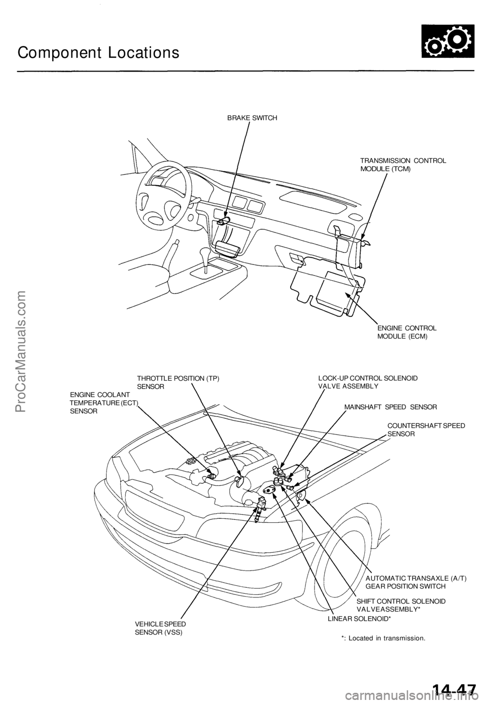 ACURA TL 1995  Service Repair Manual 
Component Locations

BRAKE SWITCH

TRANSMISSION CONTROL

MODULE (TCM)

ENGINE CONTROL

MODULE (ECM)

THROTTLE POSITION (TP)

SENSOR

ENGINE COOLANT

TEMPERATURE (ECT)

SENSOR 
LOCK-UP CONTROL SOLENOI