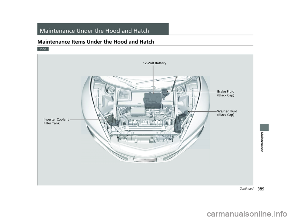 ACURA NSX 2021  Owners Manual 389Continued
Maintenance
Maintenance Under the Hood and Hatch
Maintenance Items Under the Hood and Hatch
Hood
Brake Fluid 
(Black Cap)
Washer Fluid 
(Black Cap)
12-Volt Battery
Inverter Coolant 
Fille