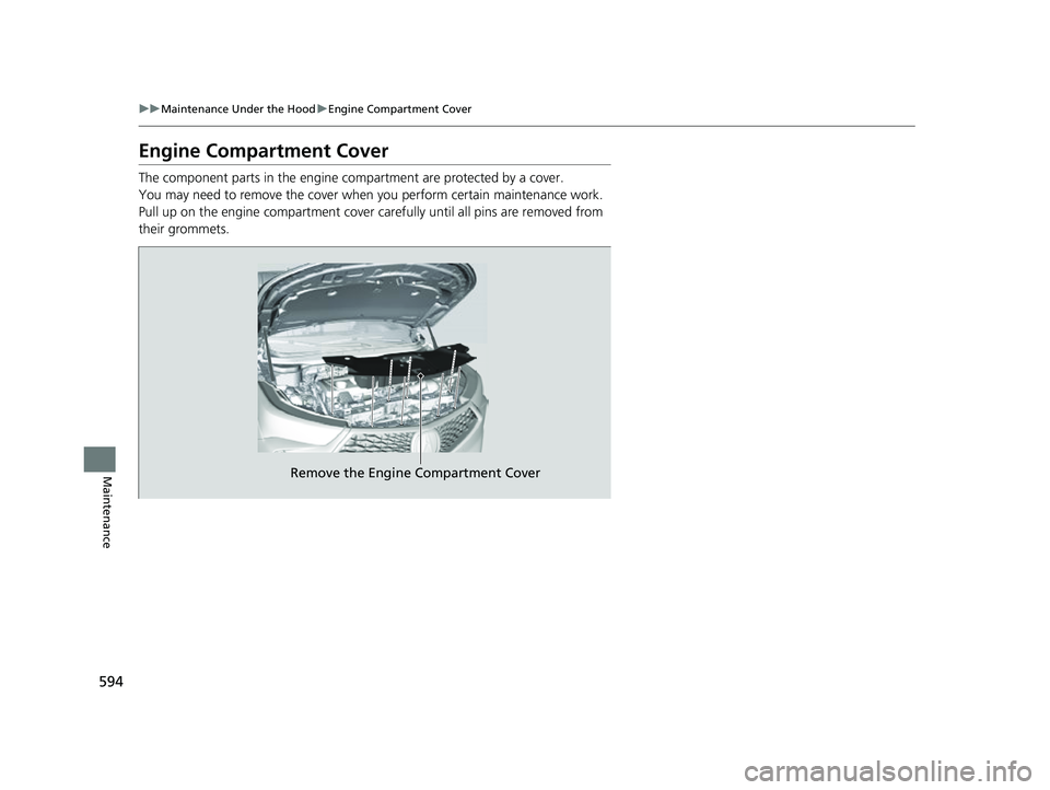 ACURA RDX 2023  Owners Manual 594
uuMaintenance Under the Hood uEngine Compartment Cover
Maintenance
Engine Compartment Cover
The component parts in the engine co mpartment are protected by a cover.
You may need to remove the cove