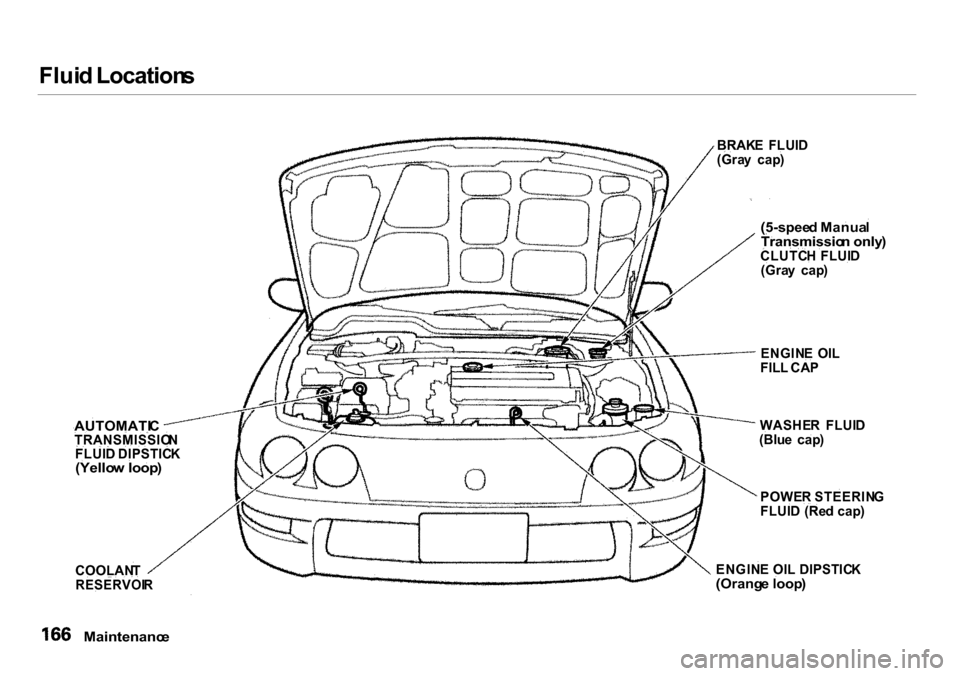 Acura Integra 2000  Sedan Owners Manual 
Flui
d Location s

Maintenanc e
 BRAK
E  FLUI D
(Gra y  cap )

(5-spee d Manua l

Transmissio n only )

CLUTC H FLUI D
(Gra y  cap )
ENGIN E  OI L
FIL L CA P
WASHE R  FLUI D
(Blu e  cap )
POWE R STEE