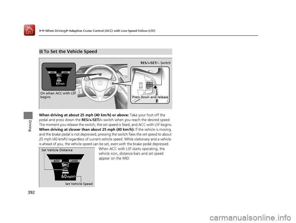 Acura MDX 2017  Owners Manual 392
uuWhen Driving uAdaptive Cruise Control (ACC) with Low Speed Follow (LSF)
DrivingWhen driving at about 25  mph (40 km/h) or above: Take your foot off the 
pedal and press down the RES/+/ SET/– s