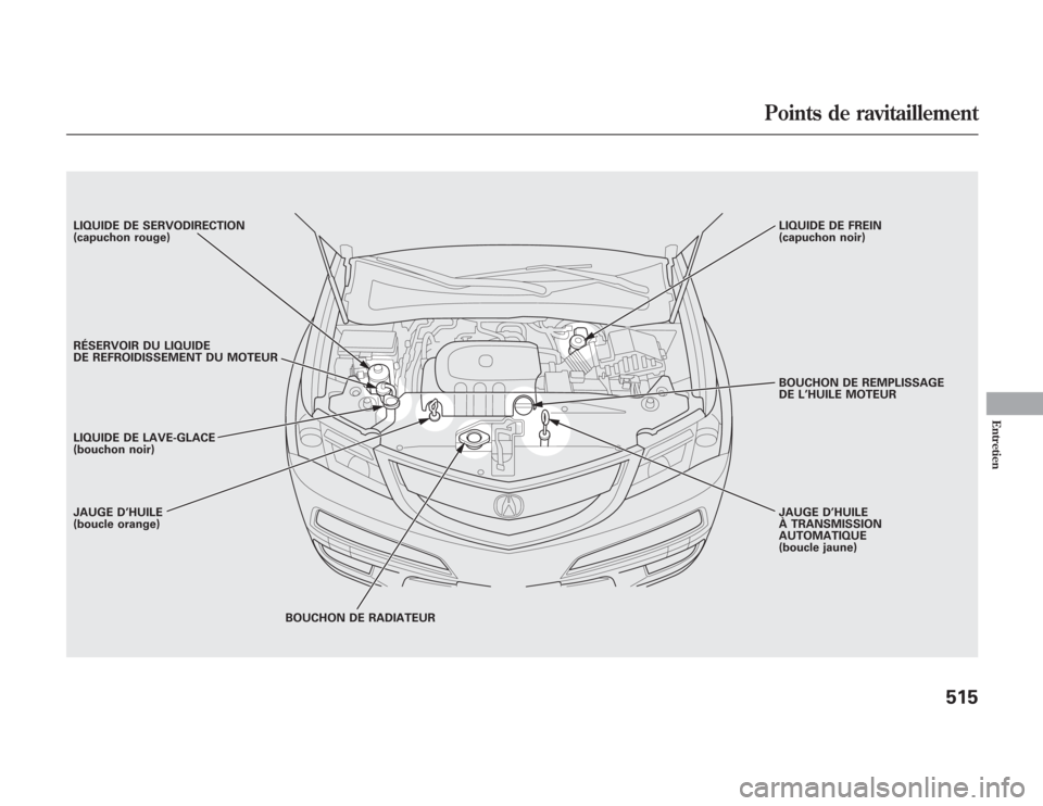 Acura MDX 2012  Manuel du propriétaire (in French) LIQUIDE DE SERVODIRECTION
(capuchon rouge)
RÉSERVOIR DU LIQUIDE
DE REFROIDISSEMENT DU MOTEUR
LIQUIDE DE LAVE-GLACE
(bouchon noir)
JAUGE D’HUILE
(boucle orange)
BOUCHON DE RADIATEURJAUGE D’HUILE
