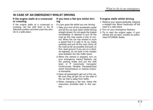 Page 313