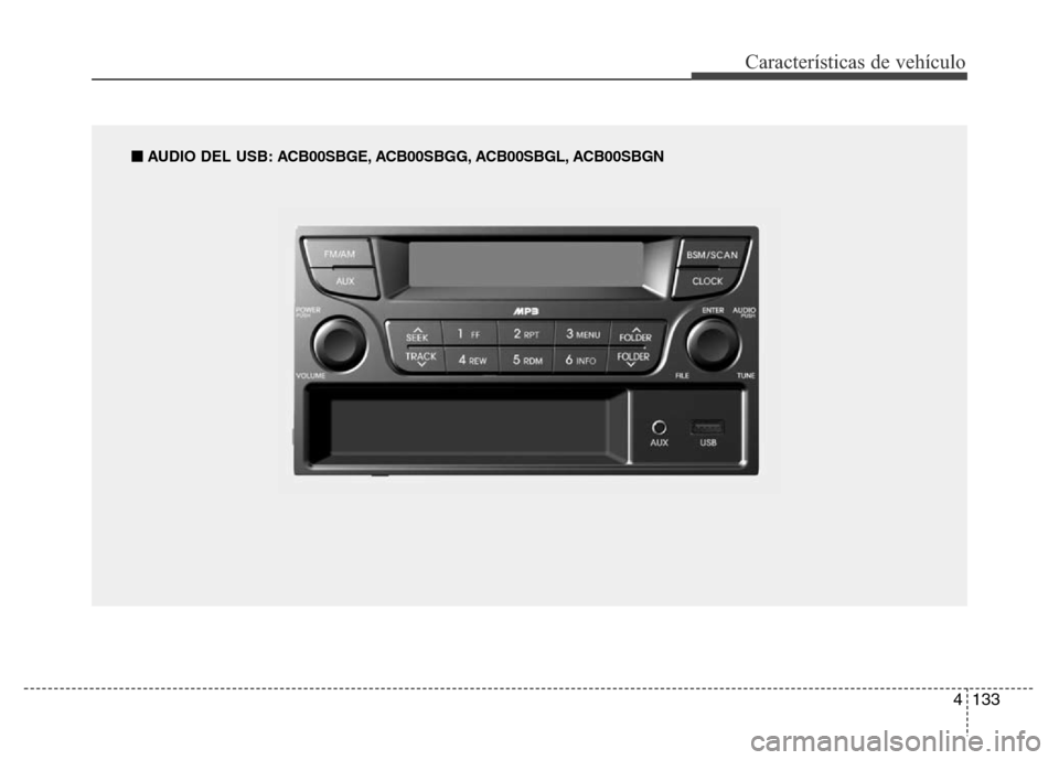 Hyundai Accent 2015  Manual del propietario (i25) (in Spanish) 4133
Características de vehículo
■AUDIO DEL USB: ACB00SBGE, ACB00SBGG, ACB00SBGL, ACB00SBGN 