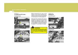 Page 231