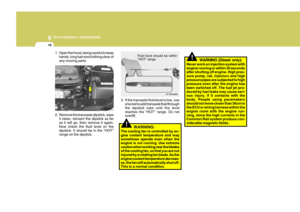 Page 239