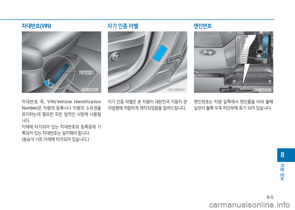 Hyundai Aslan 2017  아슬란 AG - 사용 설명서 (in Korean) 8-5
차량 정보
8
차대번호 즉, VIN(Vehicle  Identification 
Number)은 차량의 등록시나 차량의 소유권을 
유지하는데 필요한 모든 법적인 사항에 사용됩
니다.
차