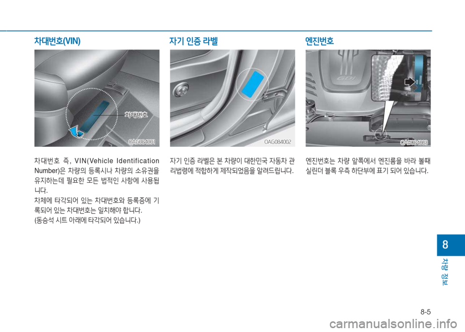 Hyundai Aslan 2015  아슬란 AG - 사용 설명서 (in Korean) 8-5
차량 정보
8
8