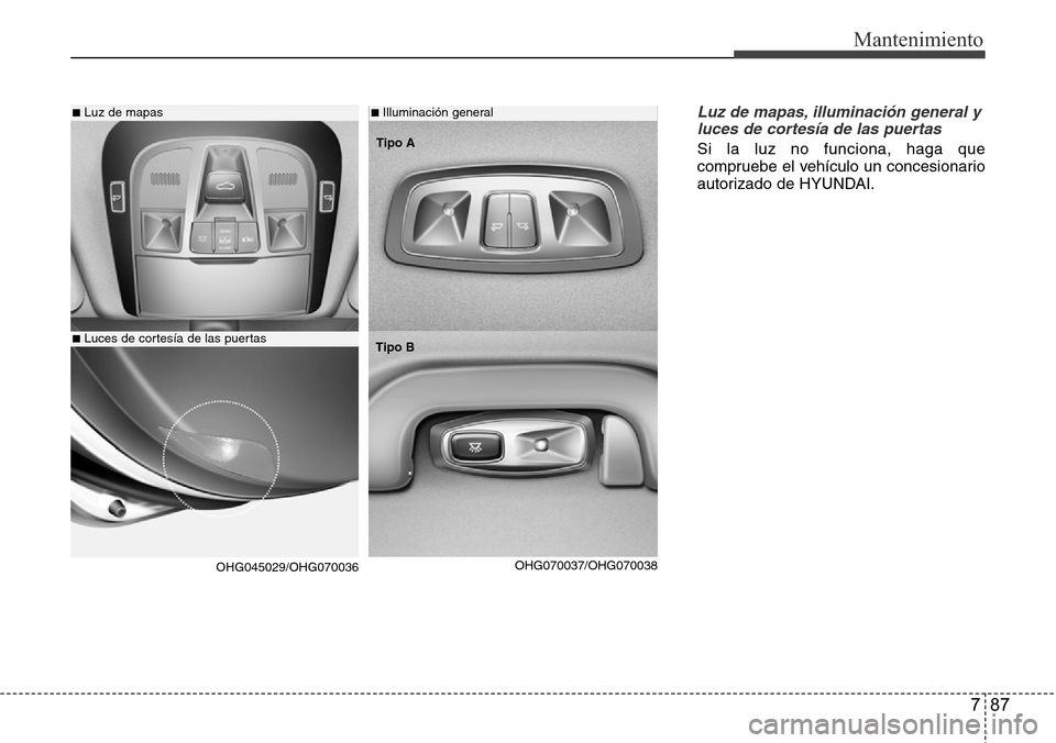 Hyundai Azera 2016  Manual del propietario (Grandeur) (in Spanish) 787
Mantenimiento
Luz de mapas, illuminación general y
luces de cortesía de las puertas
Si la luz no funciona, haga que
compruebe el vehículo un concesionario
autorizado de HYUNDAI.
■Luz de mapas