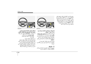 Page 261