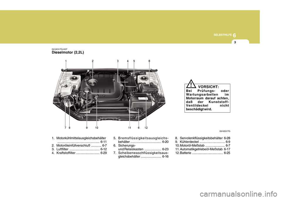 Hyundai Azera 2011  Betriebsanleitung (in German) 6
SELBSTHILFE
3
G010C01TG
G010C01TG-GST Dieselmotor (2,2L)
5. Bremsflüssigkeitsausgleichs-behälter ................................. 6-20
6. Sicherungs-
und Relaiskasten ..................6-23
7. Sc