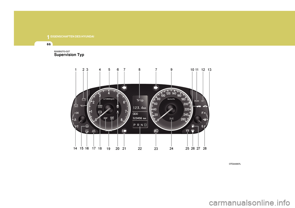Hyundai Azera 2011  Betriebsanleitung (in German) 1EIGENSCHAFTEN DES HYUNDAI
66
B260B02TG-GST Supervision Typ
OTG040807L  