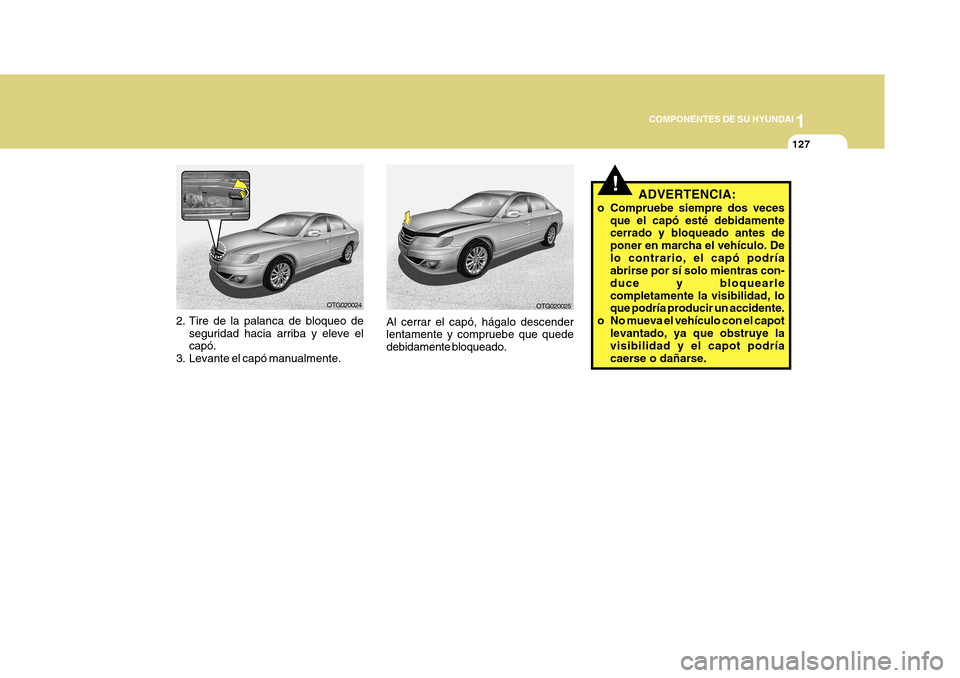 Hyundai Azera 2011  Manual del propietario (in Spanish) 1
COMPONENTES DE SU HYUNDAI
127
!ADVERTENCIA:
o Compruebe siempre dos veces que el capó esté debidamente cerrado y bloqueado antes de poner en marcha el vehículo. Delo contrario, el capó podría a