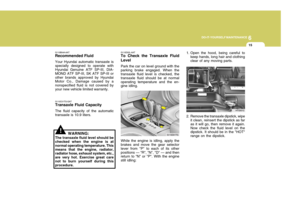 Page 251