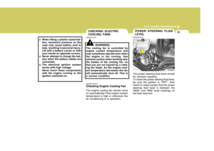 Page 261