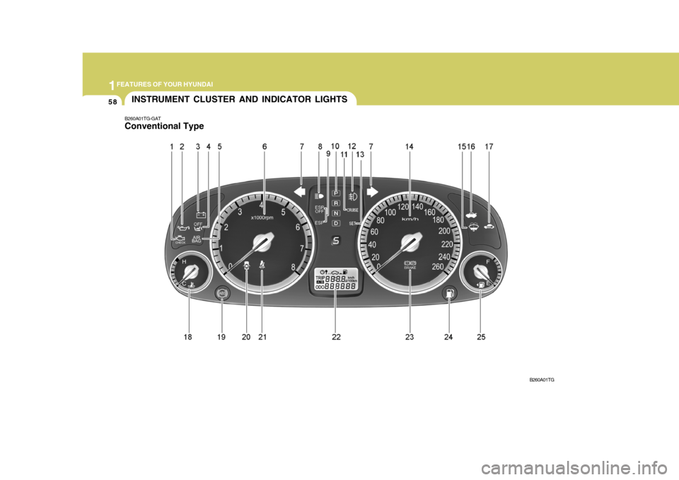 Hyundai Azera 2005  Owners Manual 1FEATURES OF YOUR HYUNDAI
58INSTRUMENT CLUSTER AND INDICATOR LIGHTS
B260A01TG-GAT Conventional Type
B260A01TG  