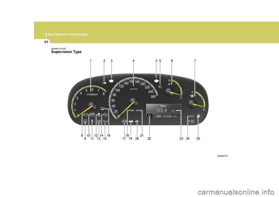 Hyundai Azera 2005  Owners Manual 1FEATURES OF YOUR HYUNDAI
60
B260B01TG-GAT Supervision Type
B260B01TG  