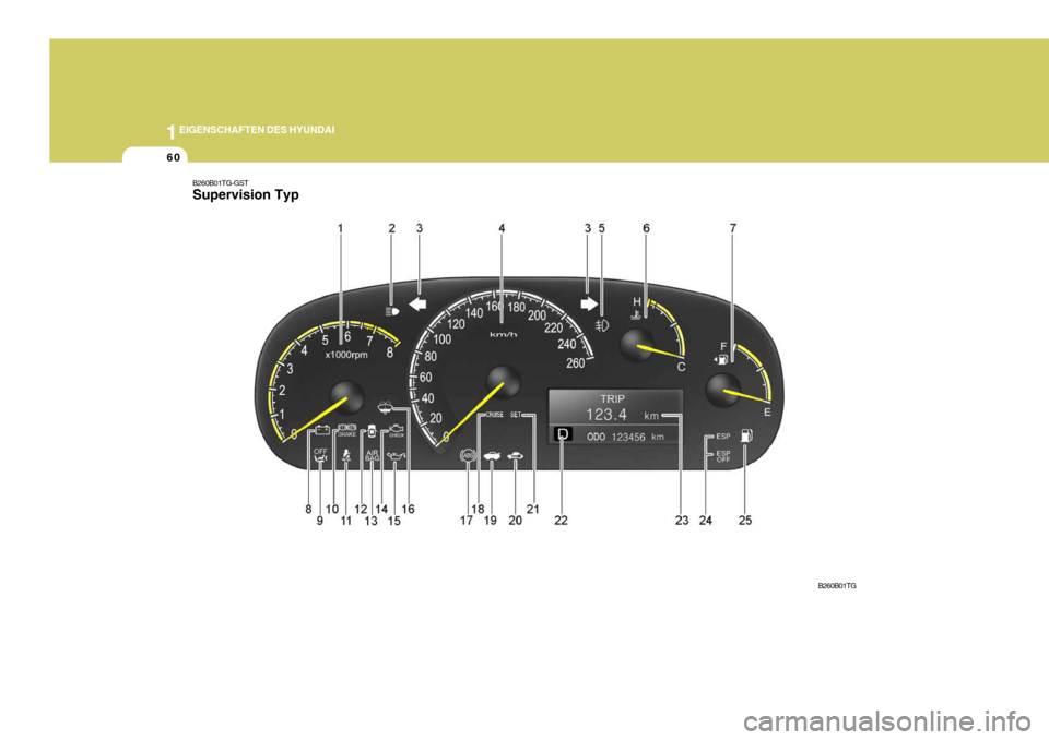 Hyundai Azera 2005  Betriebsanleitung (in German) 1EIGENSCHAFTEN DES HYUNDAI
60
B260B01TG-GST Supervision Typ
B260B01TG  