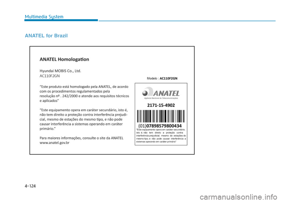 Hyundai Elantra 2017  Owners Manual 4-124
Multimedia System
ANATEL for Brazil 
