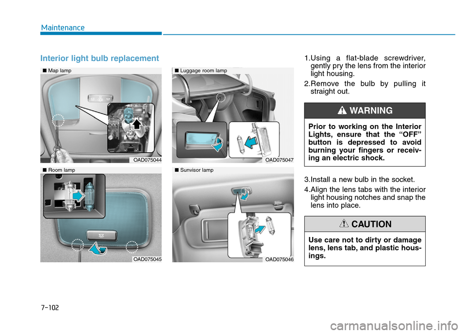 Hyundai Elantra 2017  Owners Manual 7-102
Maintenance
Interior light bulb replacement1.Using a flat-blade screwdriver,
gently pry the lens from the interior
light housing.
2.Remove the bulb by pulling it
straight out.
3.Install a new bu