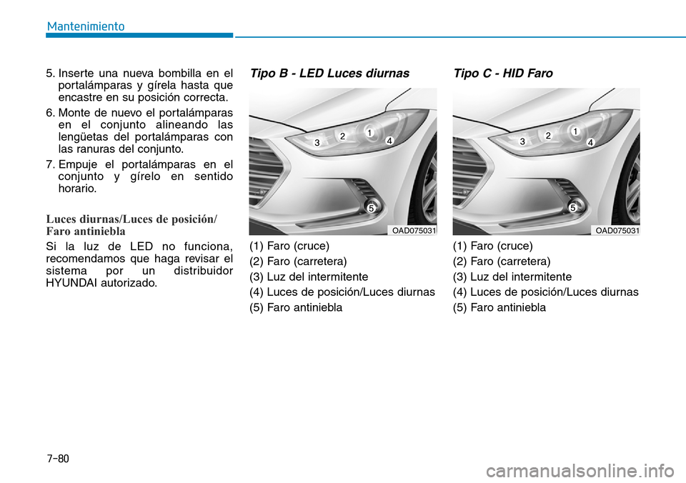 Hyundai Elantra 2017  Manual del propietario (in Spanish) 7-80
Mantenimiento
5. Inserte una nueva bombilla en el
portalámparas y gírela hasta que
encastre en su posición correcta.
6. Monte de nuevo el portalámparas
en el conjunto alineando las
lengüetas