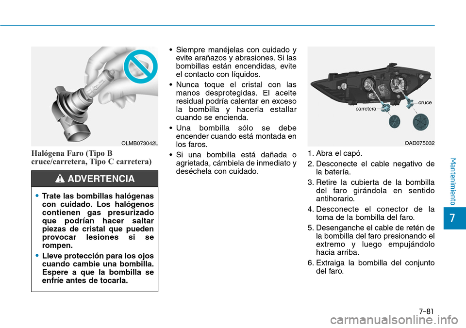 Hyundai Elantra 2017  Manual del propietario (in Spanish) 7-81
7
MantenimientoHalógena Faro (Tipo B
cruce/carretera, Tipo C carretera)
• Siempre manéjelas con cuidado y
evite arañazos y abrasiones. Si las
bombillas están encendidas, evite
el contacto c