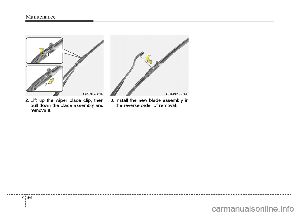 Hyundai Elantra 2015  Owners Manual - RHD (UK. Australia) Maintenance
36 7
2. Lift up the wiper blade clip, then
pull down the blade assembly and
remove it.3. Install the new blade assembly in
the reverse order of removal.
OYF079061ROHM078061/H 