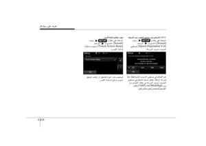 Page 251