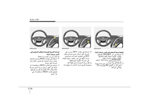 Page 225