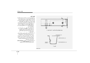 Page 239