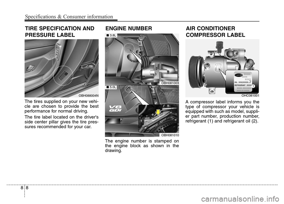 Hyundai Equus 2013  Owners Manual Specifications & Consumer information
8 8
The tires supplied on your new vehi-
cle are chosen to provide the best
performance for normal driving.
The tire label located on the drivers
side center pil