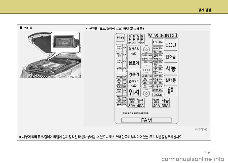 Hyundai Equus 2013  에쿠스 VI - 사용 설명서 (in Korean) 정기 4